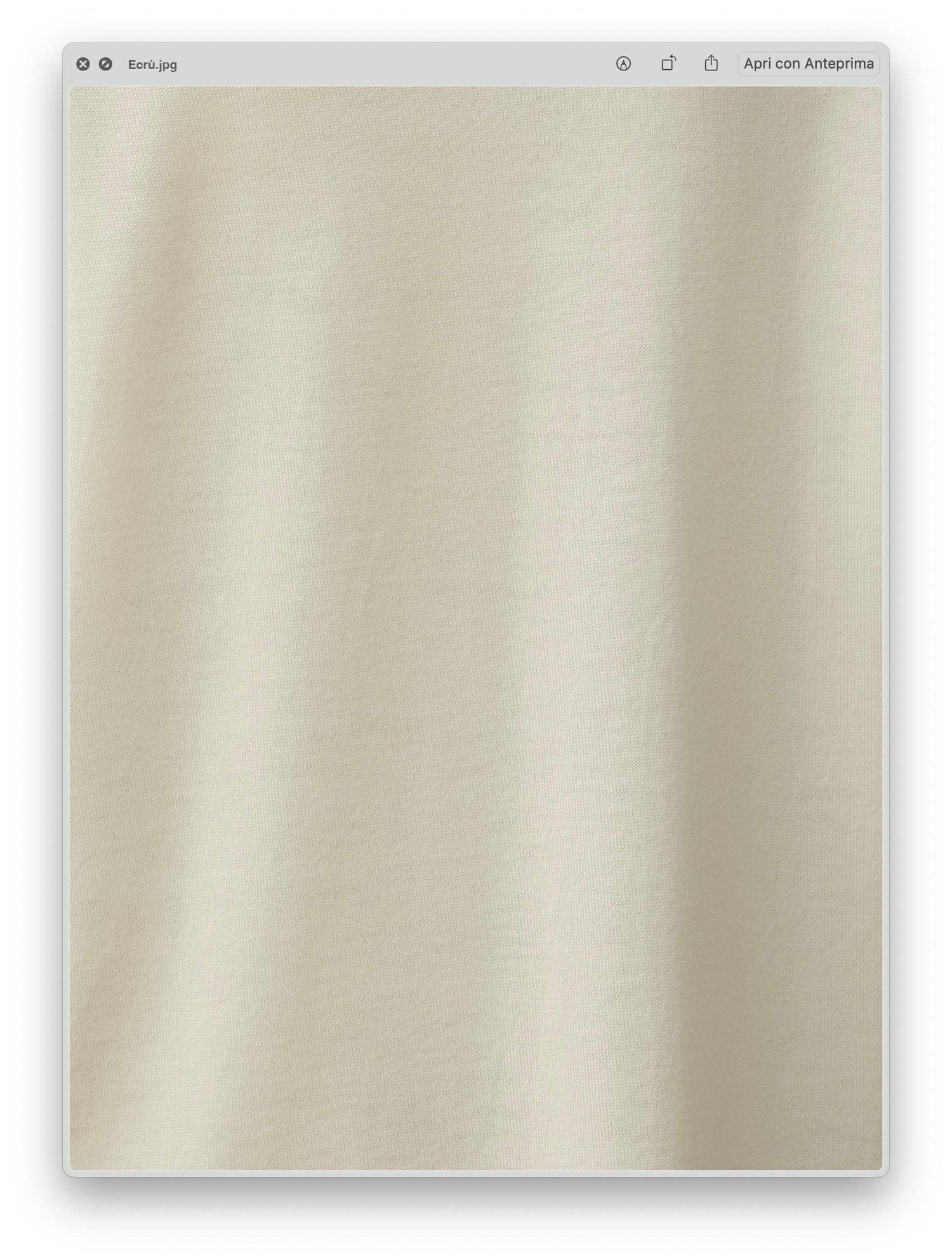 Extra Fine Merino Wool Cardigan