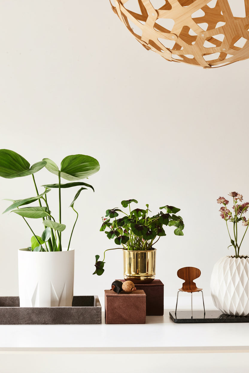 Genuine Brass Plant Pot – Polished Brass